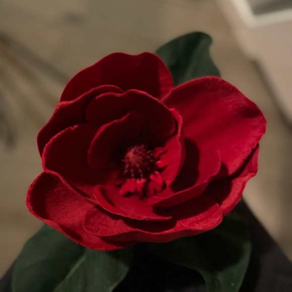 7 XL long stem artificial roses NWOT - Picture 7 of 10